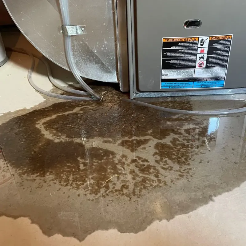 Pipe Burst and Leak Restoration in Rutherfordton, NC